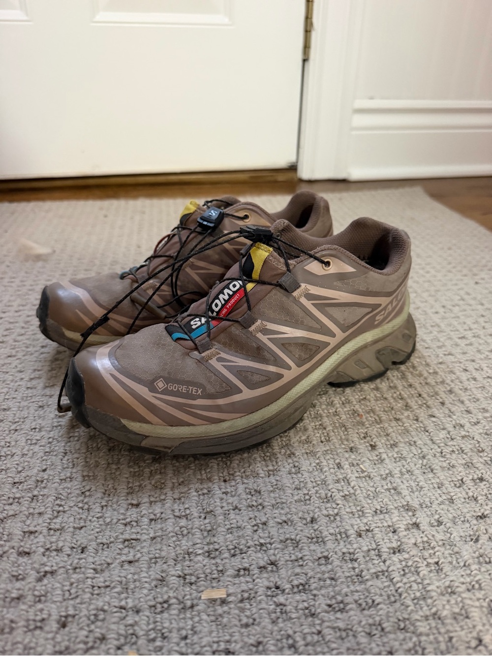 Salomon Brown and Light Green Gore-Tex Trail Running Shoes